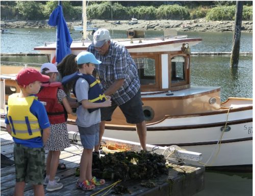 Ladysmith Community Marina