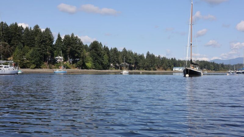 Ladysmith Marina