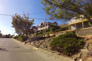 Barnacle Barney’s Fish and Chips