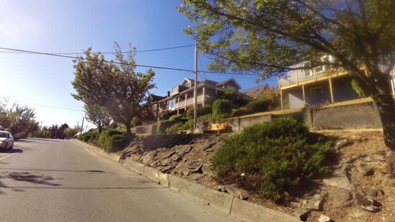 Barnacle Barney’s Fish and Chips